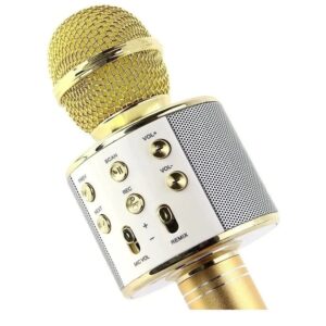Microfono con Parlantes Etheos
